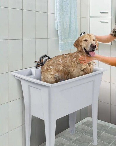 Laundry sink x 22 - laundry,
